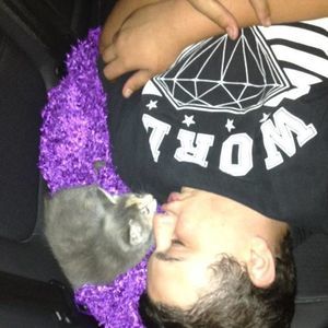 Meet your Posher, Colin